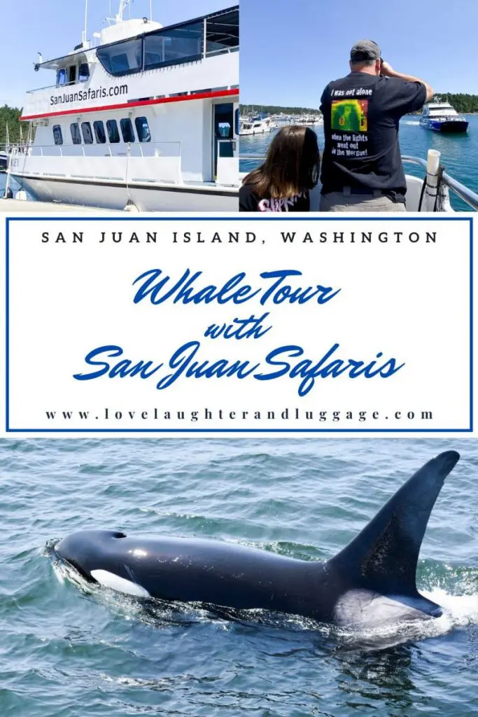 Whale Tour With San Juan Safaris