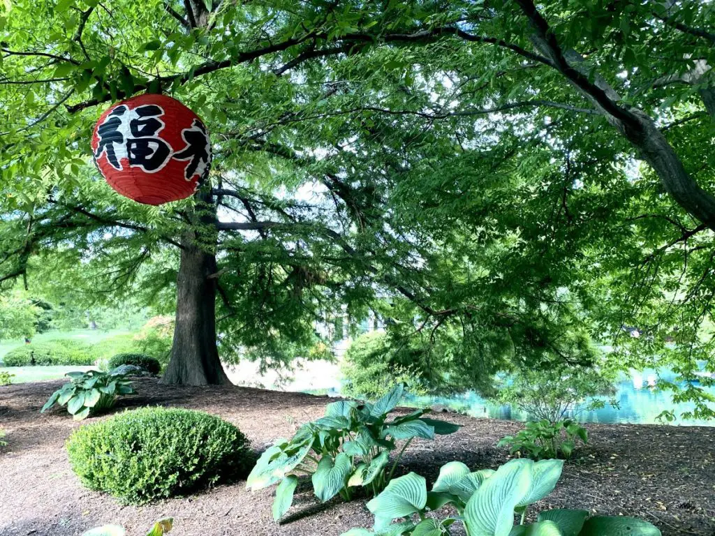 Japanese Fall Festival Mizumoto Japanese Stroll Garden, Springfield, MO